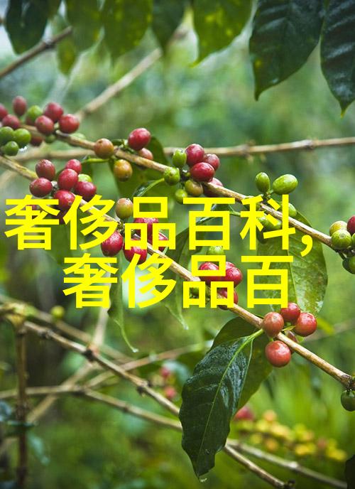 时尚的简约女生短发新宠