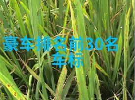 珠宝价格表-璀璨光芒精选钻石与珠宝的定价指南