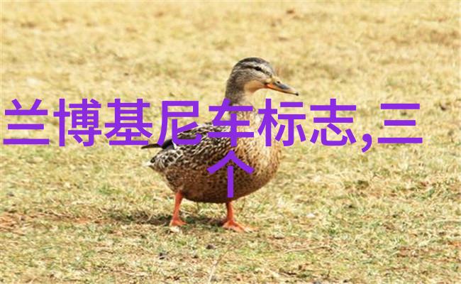 莞式三十六式解析