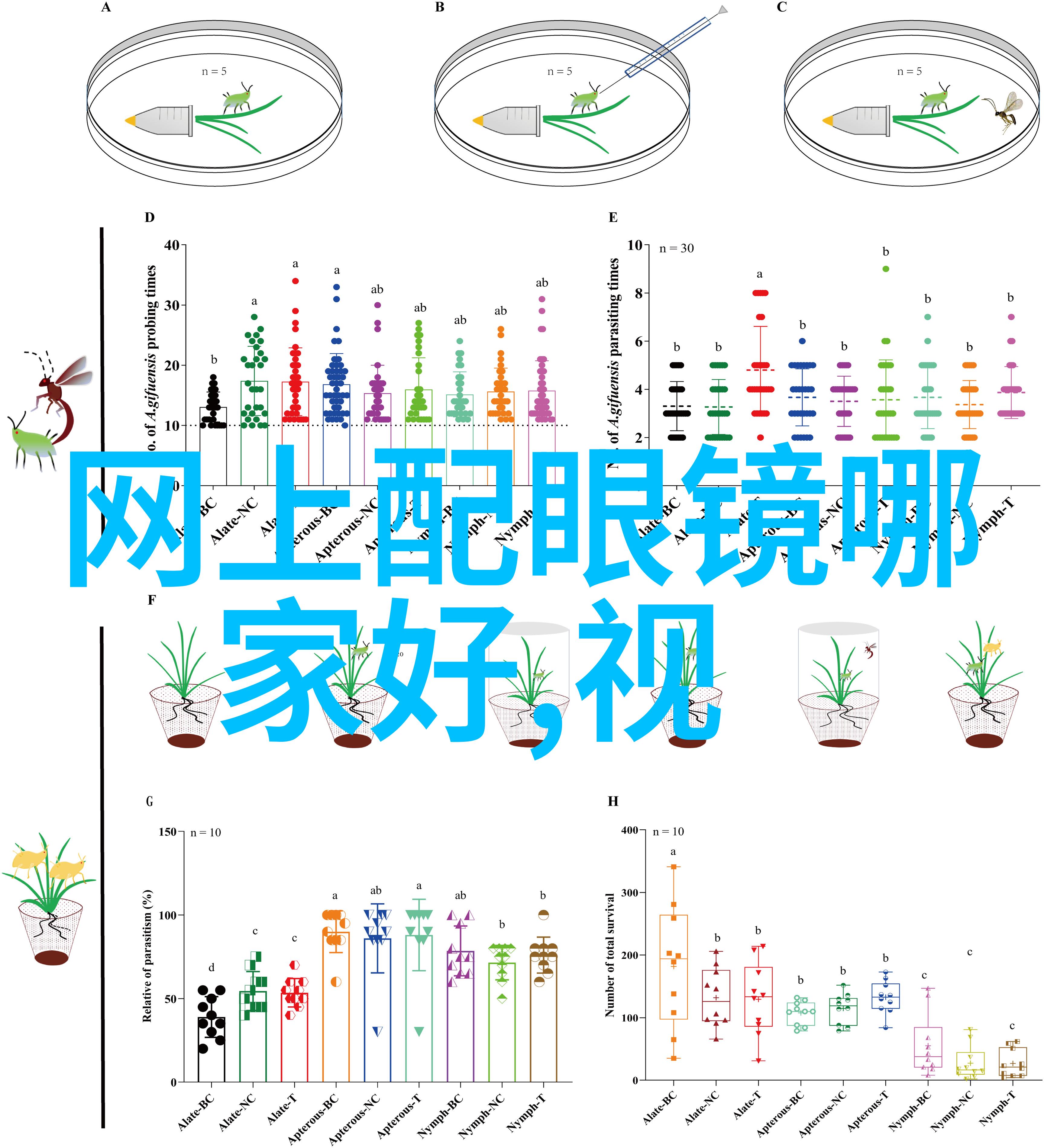 家具定制价格表-精美家居个性化定制打造理想的生活空间