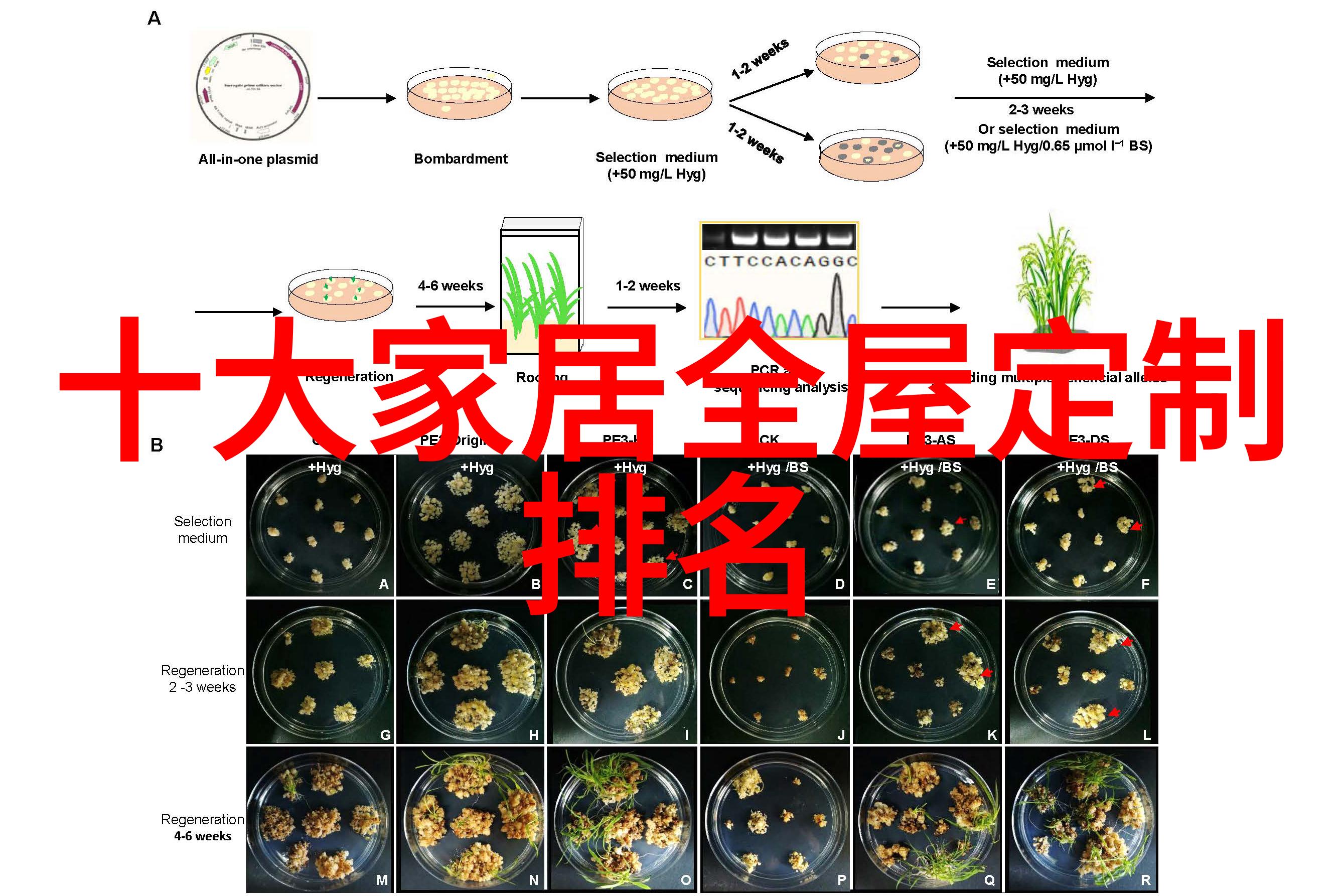 在她身上运动了一晚上我和她的秘密夜游