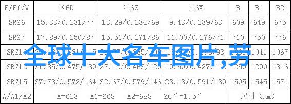 绽放的爱玫瑰金项链的诗意誓言