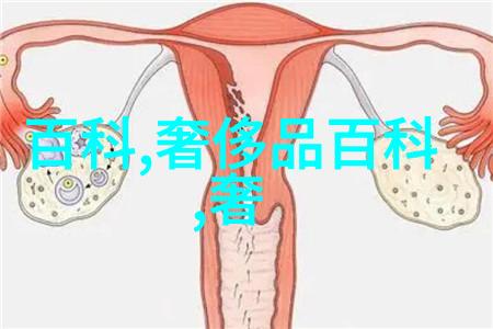 秀发新宠探索2023年流行的短发造型