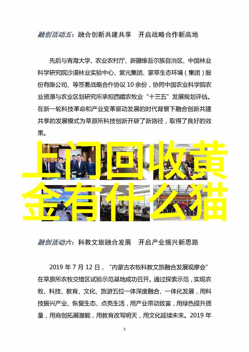 绽放的珍珠金色的项链与爱情的传奇