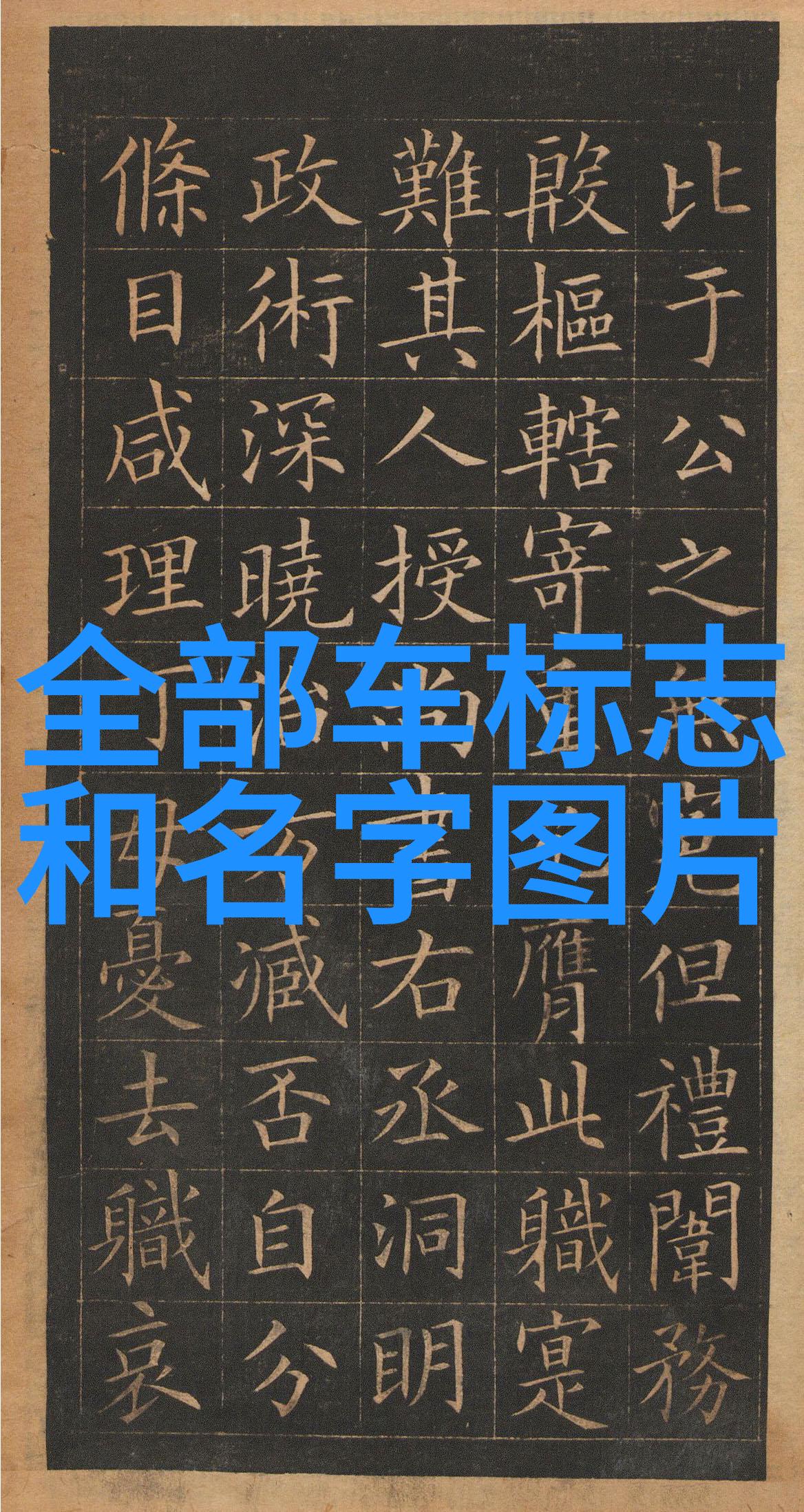 宠奴逆袭故事从被宠物奴役到成为主人