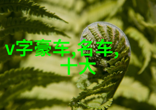 翠绿梦境juvenia的守护者