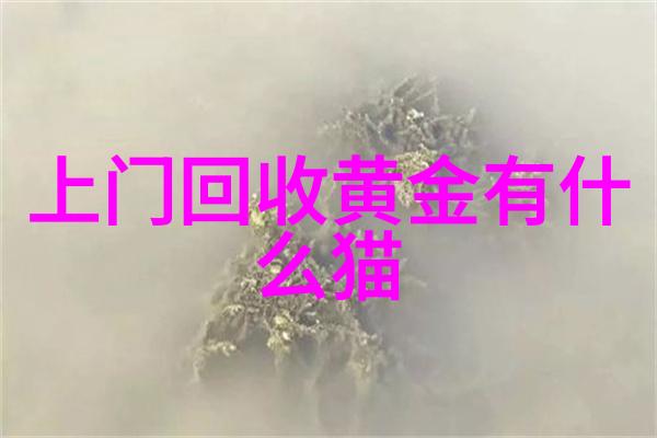 2023年时尚眼镜女士流行款式大赏