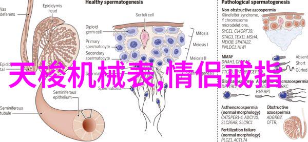 探秘三问表解锁沟通效率的钥匙