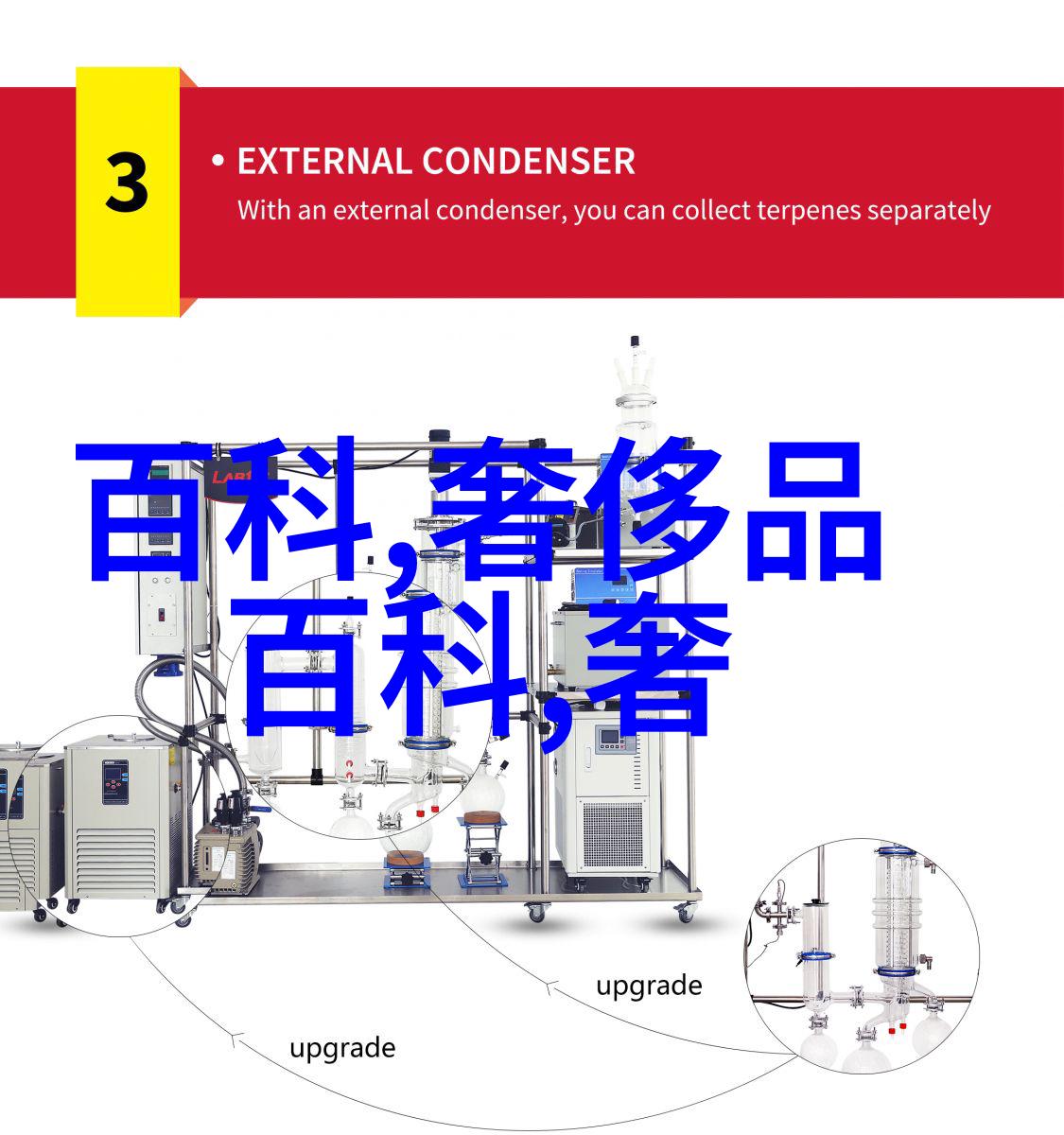 中国古代为什么称为大唐中国历史上的盛世帝国