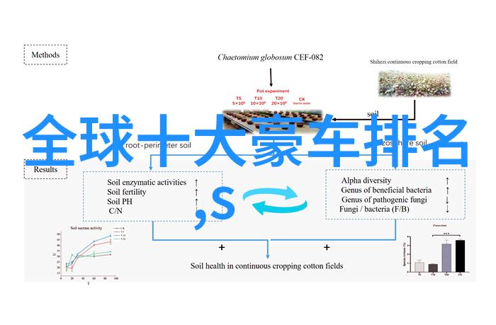 第五大道香水轻抚新娘婚礼之日指数飞扬