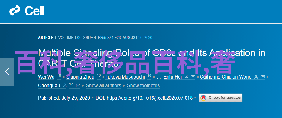 海鸥之翼何以在风暴中不倒