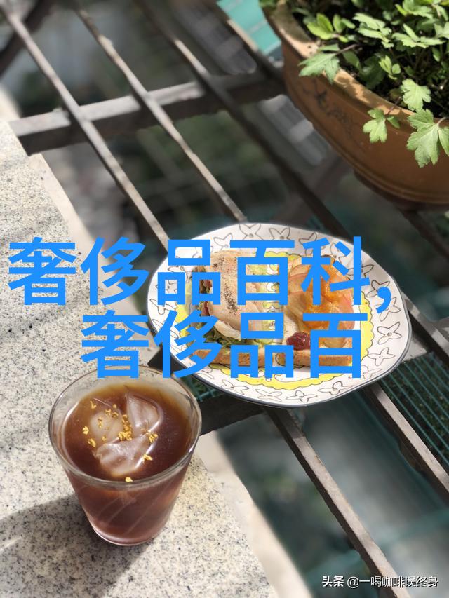 鹿晗同款索尼蓝牙音箱hear go 双十一惊爆价眼镜店排行榜10强才是双重焦点