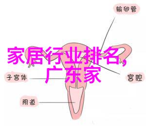 时尚达人必备高级服装搭配技巧精选时尚单品与创意组合