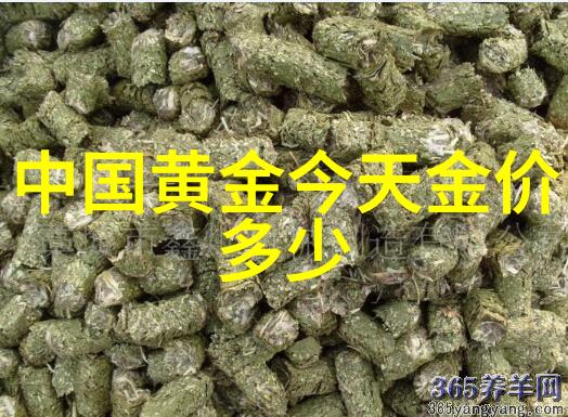 隐形眼镜配戴流程与费用分析探究现代视力矫正领域的医疗保健经济学