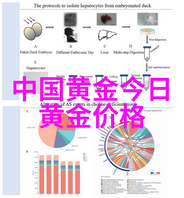 家居生活用品有哪些-完美家居必备品种类全解析