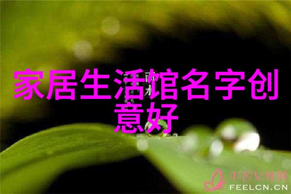 梦境之翼范思哲男士香水的诗意飞翔