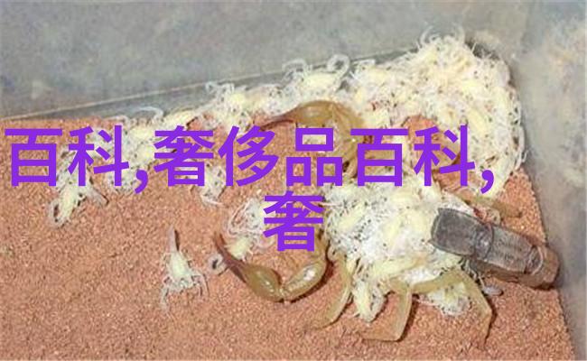 如何正确保养和维护珍贵的家庭藏品古董及现代珠宝玉器