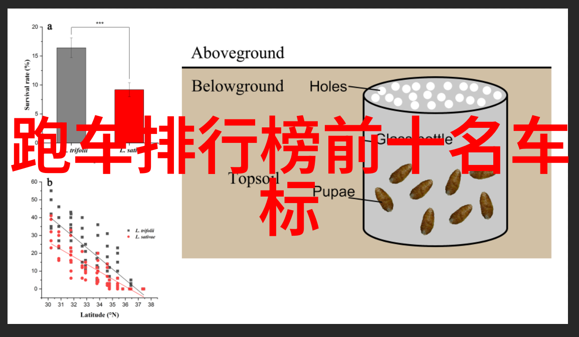 生活点滴我和爱马仕香水的故事从初恋到长久情缘