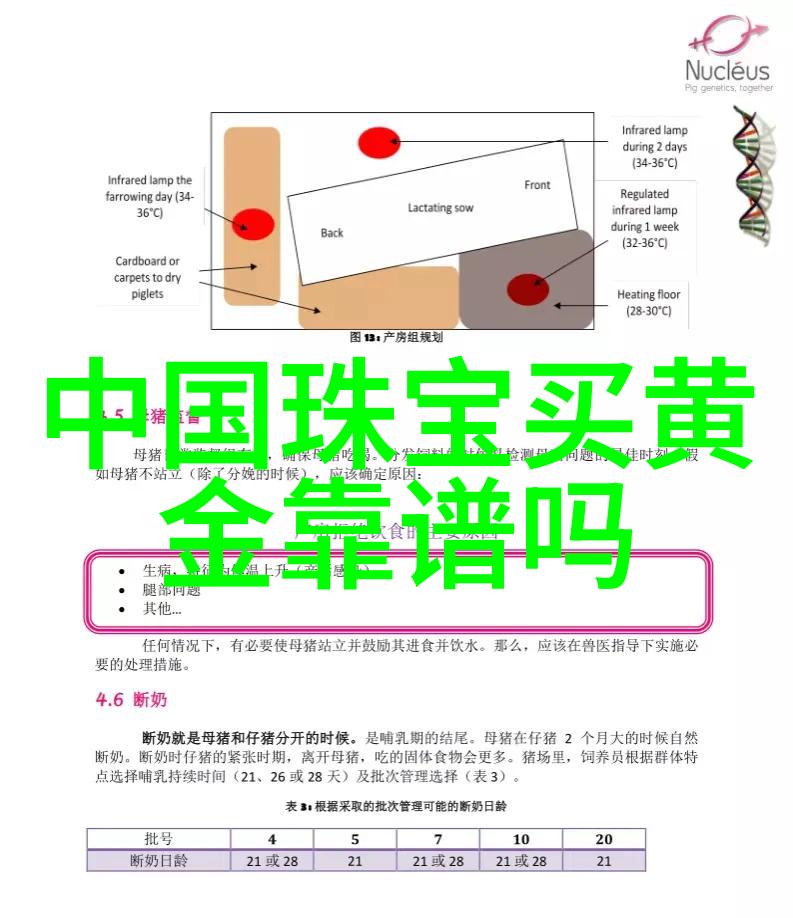 反派被窝醒快穿奇遇