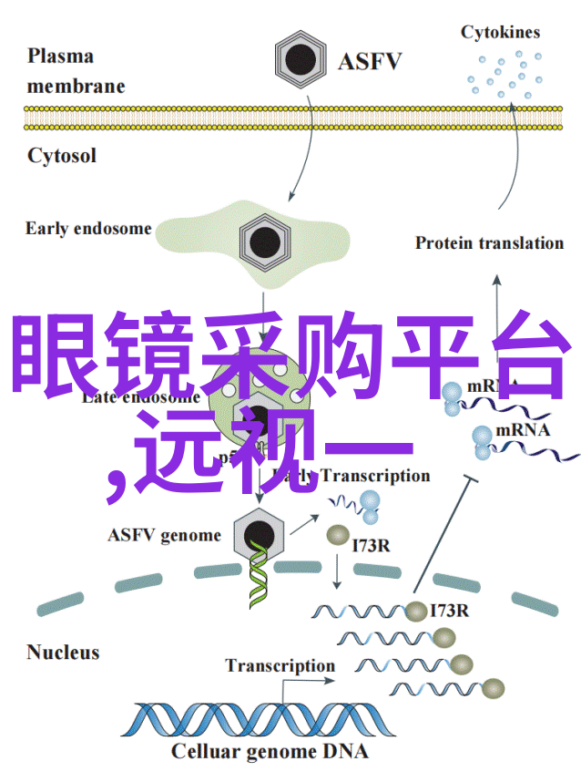 发丝亮泽颜值飙升探秘美容美发教程视频的秘诀