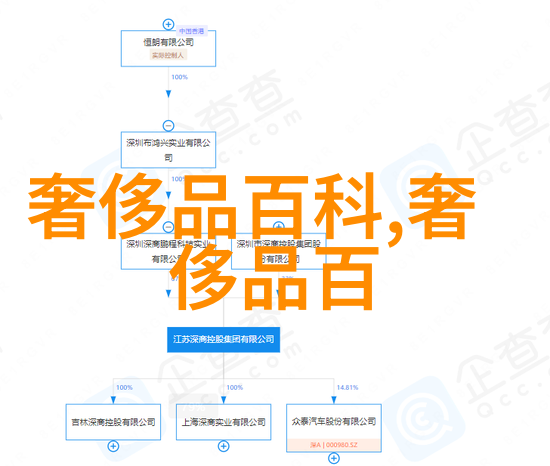 翱翔者的记忆海鸥表的诗篇