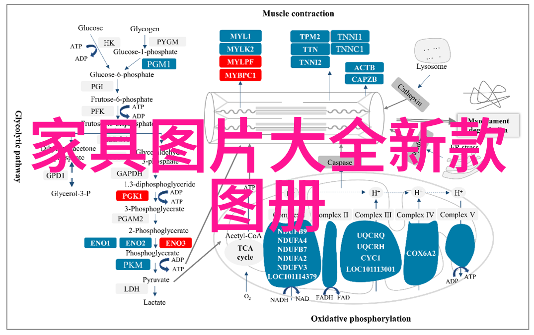 眼镜店一年生意冷清经营的苦果