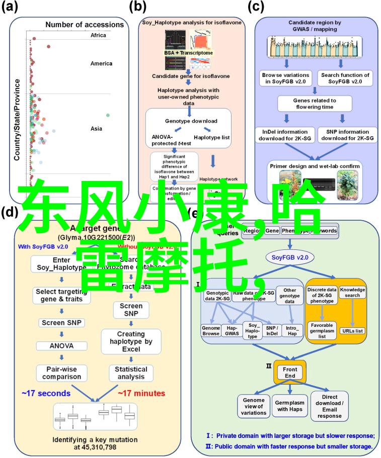 华晨中的灵魂之歌梦想