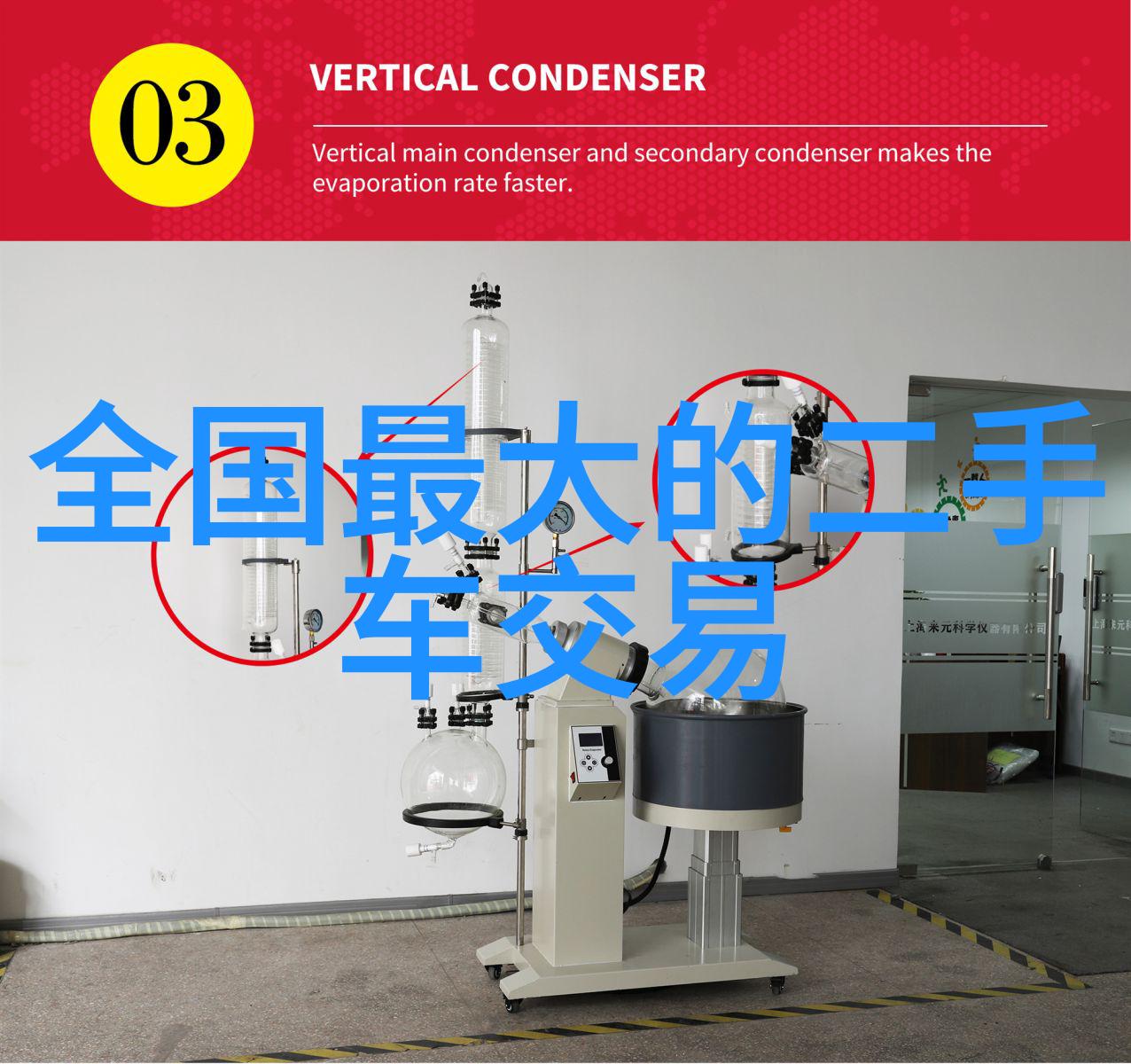 和亲公主txt新浪 - 跨国爱情和亲公主的新浪TXT小说探索