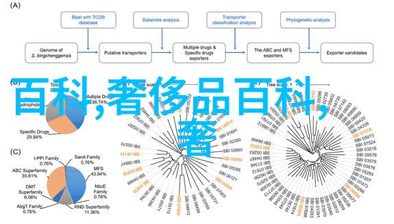 家具公司老板的智慧如何把握市场脉搏让产品走红