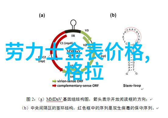 博越远方的召唤与心灵的翱翔