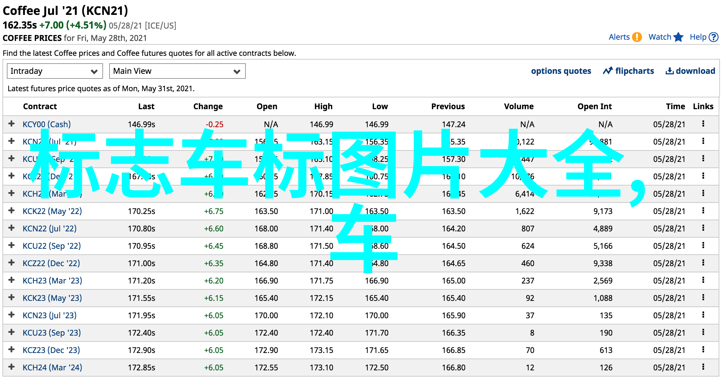 吃警察爸爸的擎天柱视频我是怎么在一夜之间网红起来的