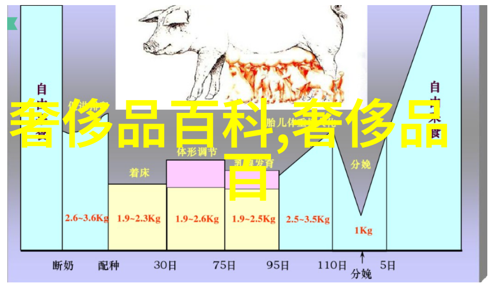 一本二本三本区别高清视频咱们来看看这几本书的差异吧