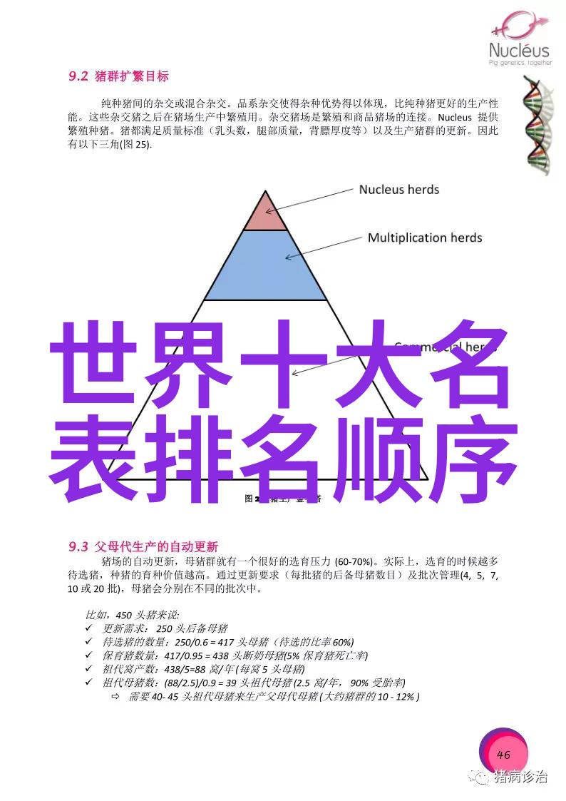 星光璀璨匪我思存穿越时空的回忆与梦想