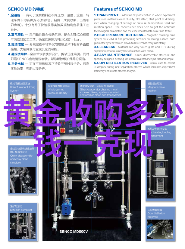 美发初学者基础教程从头发打理到造型技巧的全方位掌握