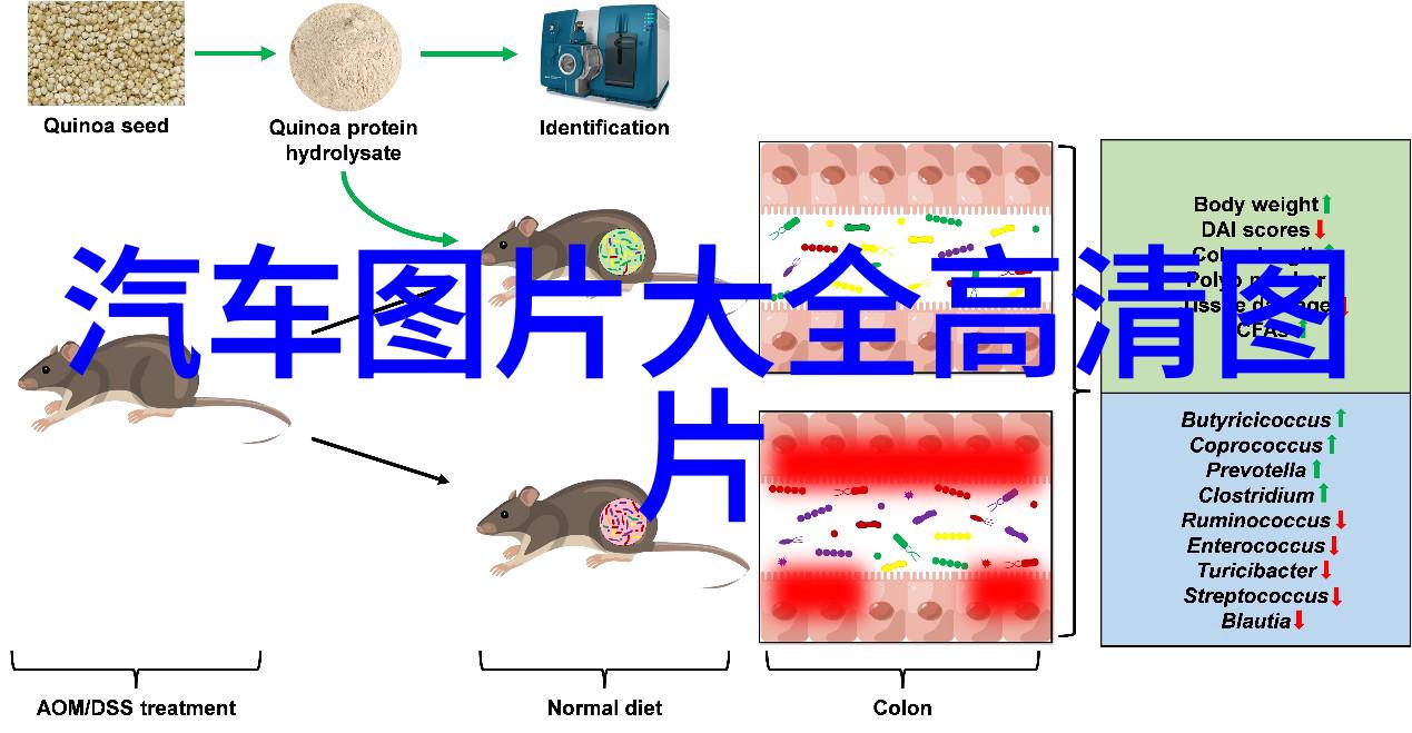 张杰逆战音乐之翼下的英雄征途