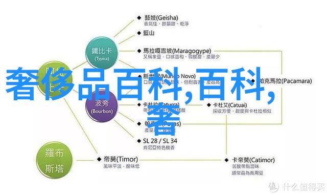 剪刀手的智慧理发师的咨询艺术