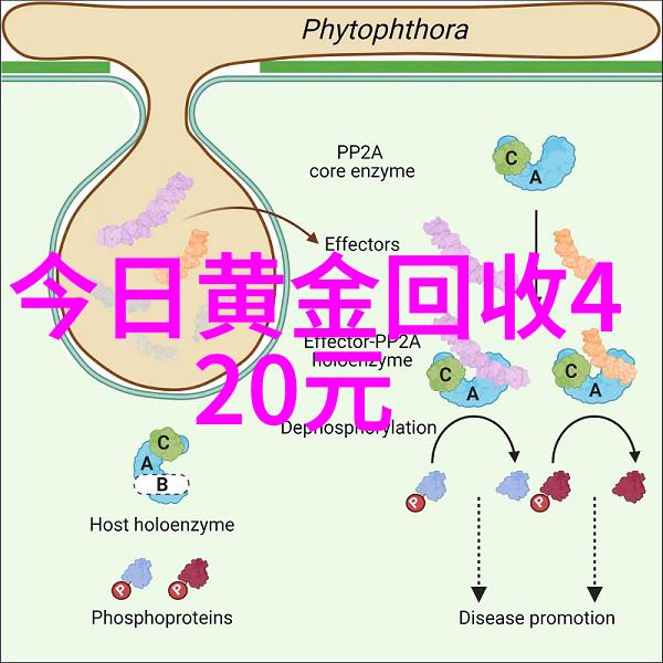 燃烧的文字探索烟火城小说的奇幻世界