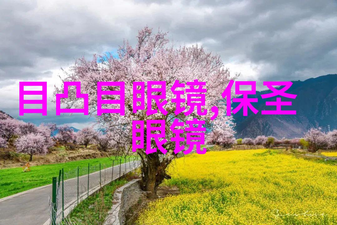 情人节送男朋友什么礼物让我们一起探索爱的语言之谜