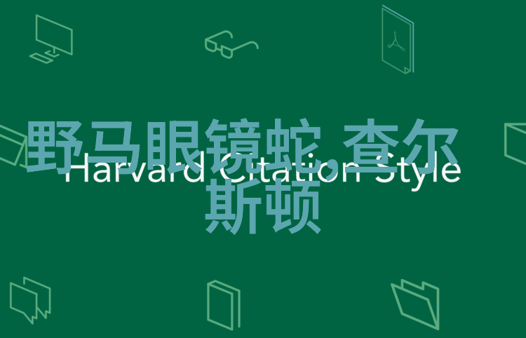 麻花豆传媒剧国产MV入口-探索中国文化通过麻花豆的国产MV