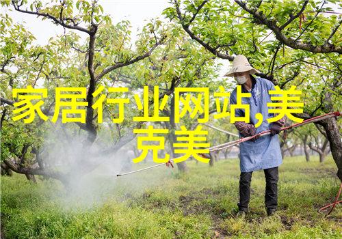 橘子香水我爱的那款橘子香水它是如何让我心情愉悦的