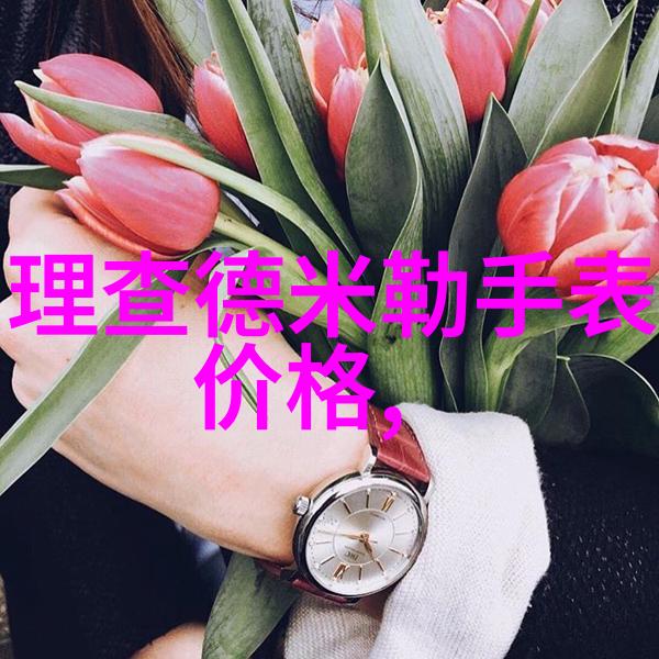 勒芒24小时耐力赛我的汽车梦想之旅