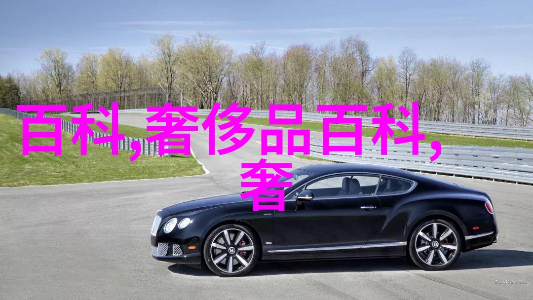 劳斯莱斯银魅绽放保时捷Panamera Hybrid即将亮相