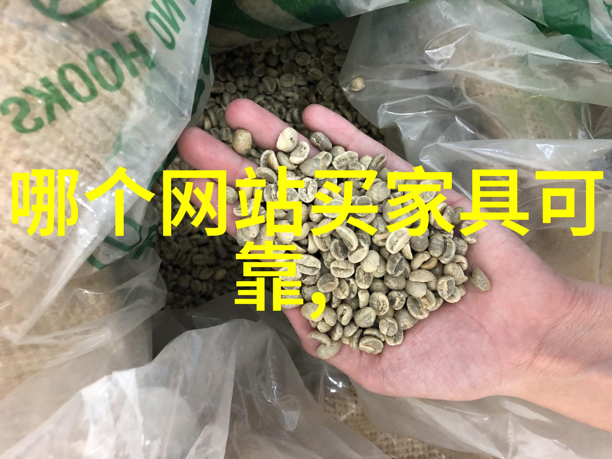 血薇txt沉默的花园与失声的秘密