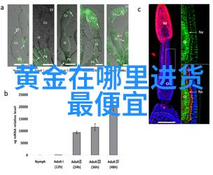 主题我眼中的奇迹12may18_XXXXXL56endian49的故事