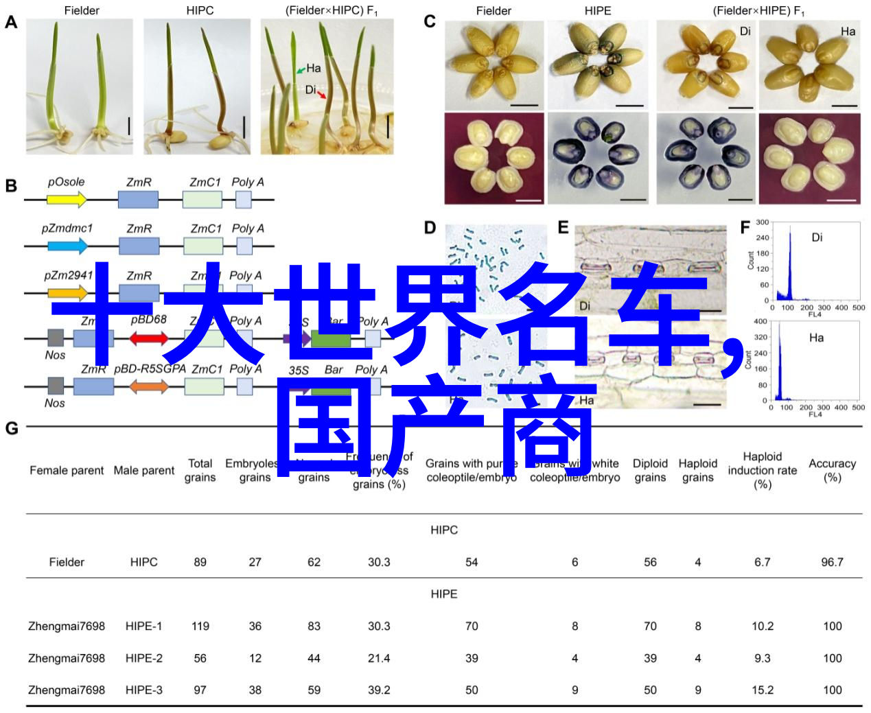 小巧玲珑探索各种小柜子在家居装饰中的魅力