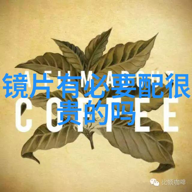 老阿姨哔哩哔哩B站肉片茄子芒果-翩翩起舞的厨房奇缘老阿姨的美食与Bilibili