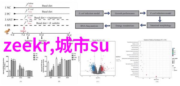 除了价格其他哪些因素会影响你的老旧银饰被回购价值