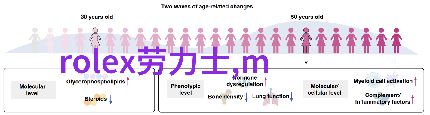 潮流前沿少年风采的新篇章