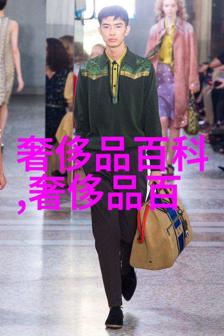 男士衣服搭配软件app哪个好-时尚指南揭秘最佳男士穿搭APP