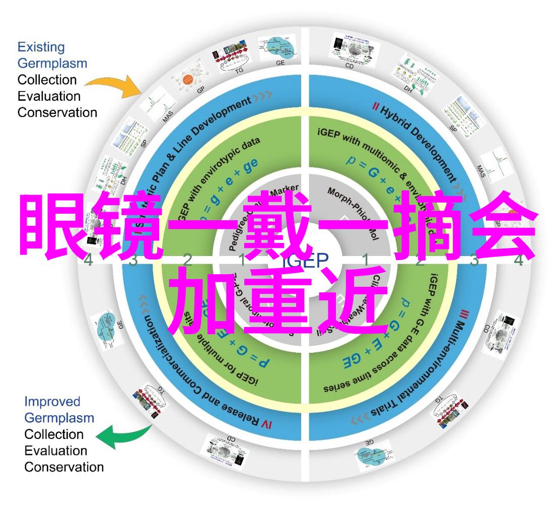 家居新篇章团购梦想空间的诞生